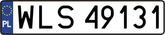 WLS49131