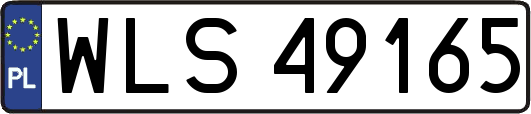 WLS49165