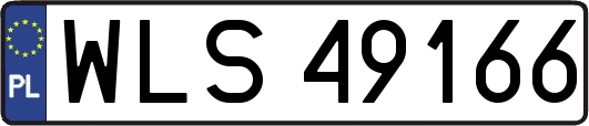 WLS49166