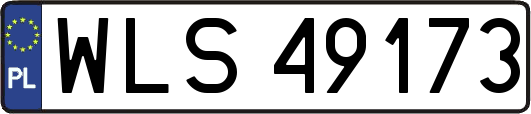 WLS49173