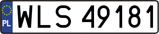 WLS49181