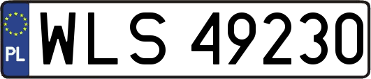 WLS49230
