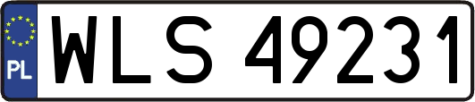 WLS49231