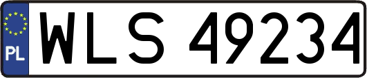 WLS49234