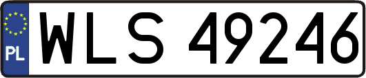 WLS49246