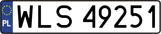 WLS49251