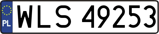 WLS49253
