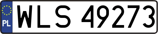 WLS49273