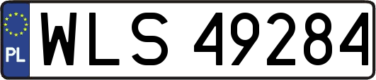 WLS49284