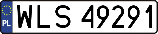 WLS49291