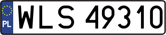 WLS49310