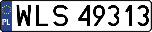 WLS49313
