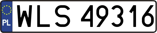 WLS49316