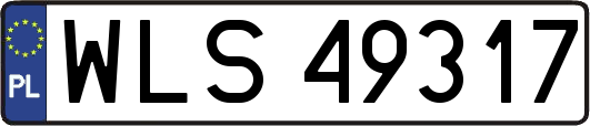 WLS49317
