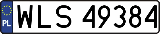 WLS49384