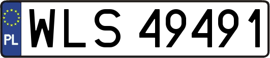 WLS49491
