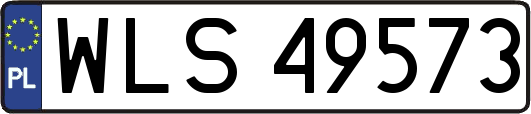 WLS49573