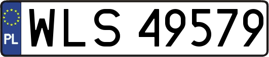 WLS49579
