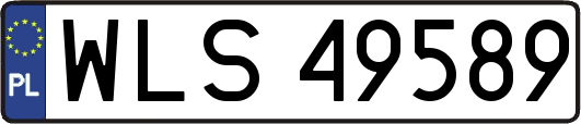 WLS49589