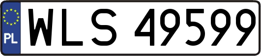 WLS49599
