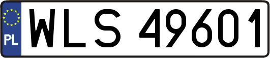 WLS49601