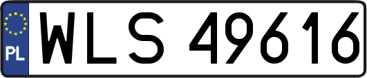 WLS49616