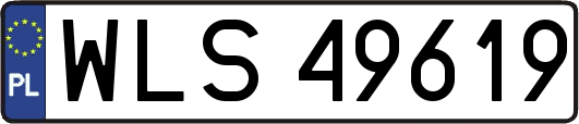 WLS49619