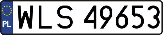 WLS49653