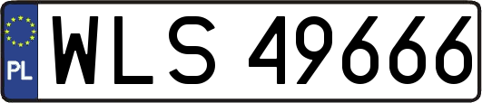 WLS49666