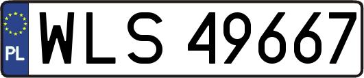 WLS49667