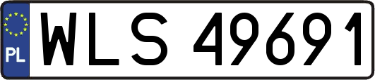 WLS49691