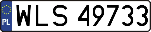 WLS49733