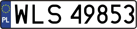 WLS49853