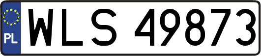 WLS49873