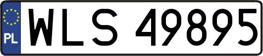 WLS49895