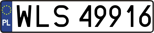 WLS49916