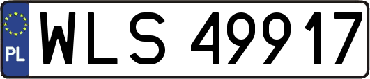 WLS49917