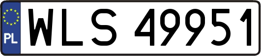 WLS49951