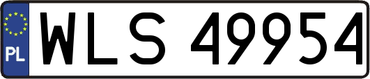 WLS49954