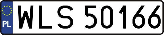 WLS50166