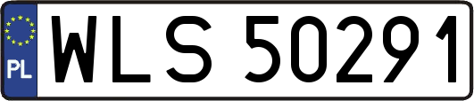 WLS50291