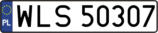 WLS50307