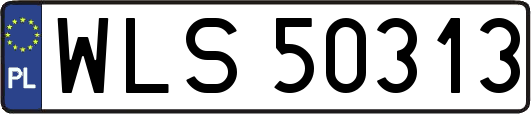 WLS50313