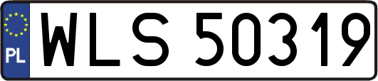 WLS50319