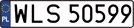 WLS50599