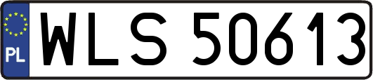 WLS50613