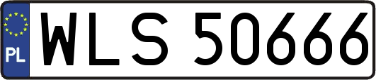 WLS50666