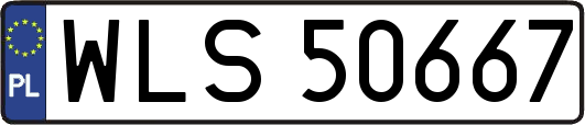 WLS50667