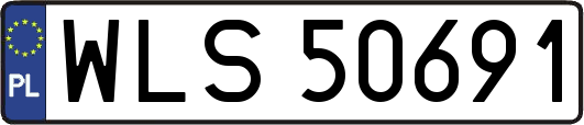 WLS50691