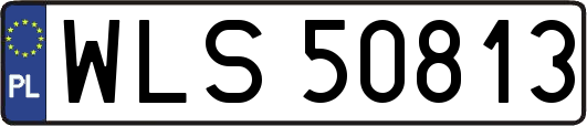 WLS50813